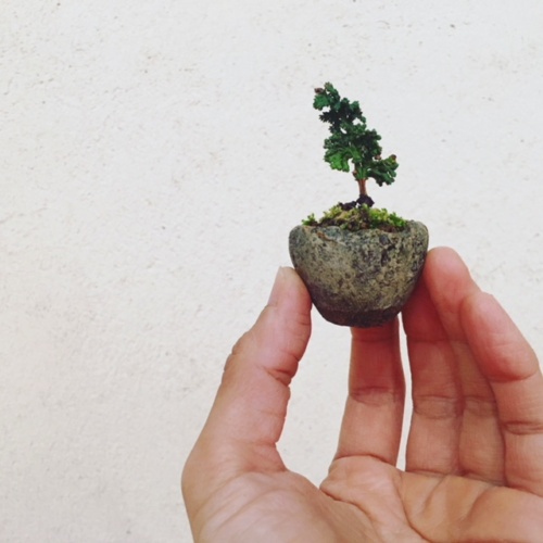 石化ヒノキの小品盆栽