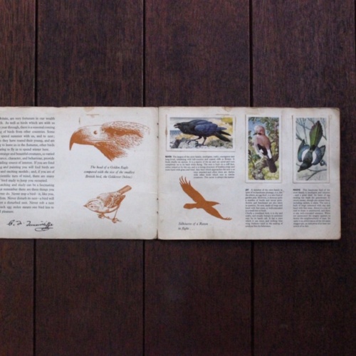 英国ヴィンテージの鳥のカードアルバム