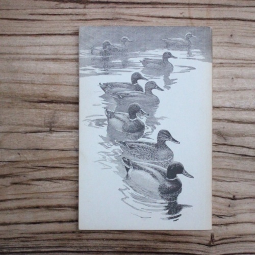 イギリスヴィンテージの鳥の本の裏表紙