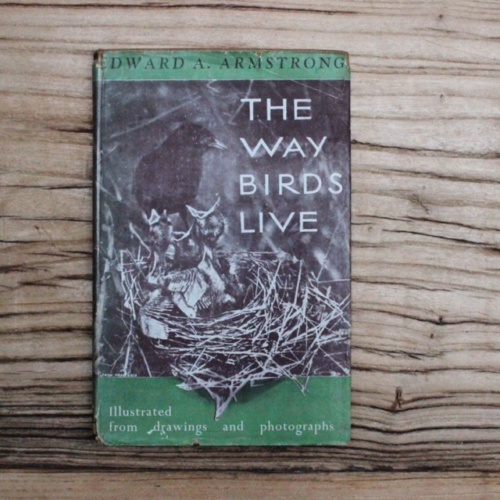 イギリスヴィンテージの鳥の本